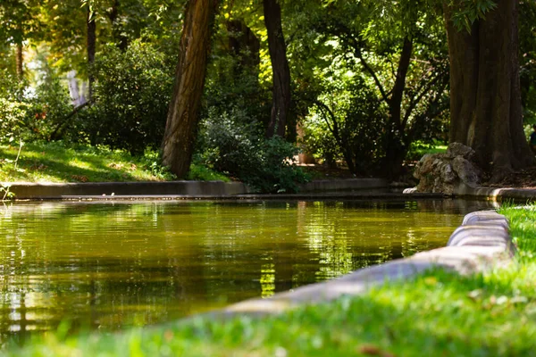 在一个阳光明媚的日子里 在绿色的公园里 在春天或夏天的森林里 有着平静的水面的人工池塘 自然背景 和谐的概念 天气很好 — 图库照片