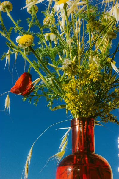 在蓝色天空的映衬下 玻璃杯红色花瓶里盛满了五彩缤纷的野花 时尚静谧的生命与自然的花卉组成 不同的草药在一起 室外的农村植物和花卉 — 图库照片