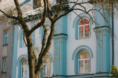 Uzhgorod Ukrayna. 2 Nisan 2022. Eski bir tarihi bina, yarı dairesel pencereli mavi bina cephesi restore edildi. Sonbahar ya da bahar günlerinde yapraksız ağaç gövdesi. Güzel mimari.