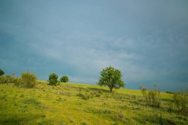 Yeşil, genç bir ağacı olan güzel bir manzara ve bir bahar günü bulutlu bir gökyüzüne karşı çalılar. Tarlalar, çayırlar, kayalıklar, topraklar. Yağmurdan önce kasvetli bir hava. İspanyol Doğal Arazisi. 