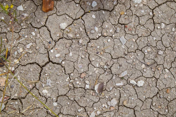 从上方看干燥地面上的许多小裂缝 炎热的夏天干地 环境问题 全球变暖的概念 破碎的灰色土地 土壤的抽象背景 — 图库照片