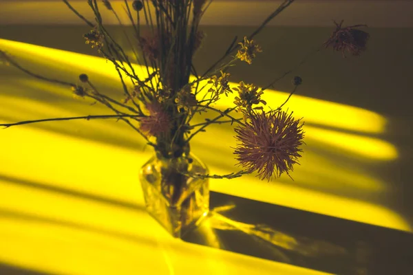 一束野花在一个玻璃花瓶在一个绿色的黄色桌子上 与阴影形成对比的顶部视图 在晨光中插花 摘要花卉家居装饰 对角线阴影 — 图库照片