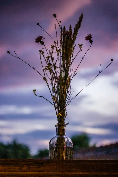 花瓶里的一束野花在窗台上迎着紫丁香夕阳的天空 家居装饰的花卉布置 夏天开花的植物 在暮色中盛开野花的轮廓 — 图库照片
