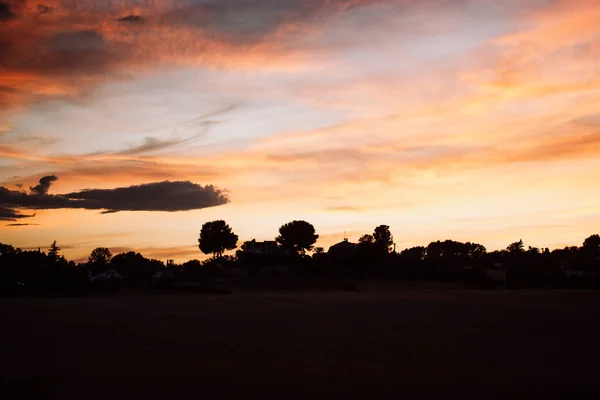 Orange Dunkelblauer Nachthimmel Laubbäume Horizont Der Dämmerung Heller Sonnenuntergang Abend — Stockfoto