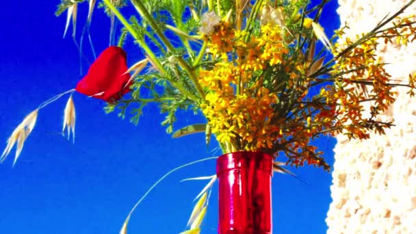 Bukiet Jasnych Kolorowych Dzikich Kwiatów Szklanym Czerwonym Wazonie Przeciwko Błękitnemu — Wideo stockowe