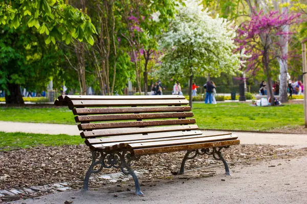 Bahar günü şehir parkında ahşap bir bank. Çiçek açan leylaklar, çiçek açan beyaz ağaçlar, çimenlikte yeşil çimenler olan güzel bir manzara. Oturmak ve doğada rahatlamak için sakin bir yer. İnsanlar dışarıda dinleniyor.