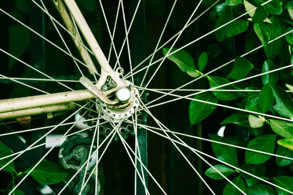 Raios Metal Uma Velha Bicicleta Vintage Detalhes Roda Bicicleta Meio — Fotografia de Stock