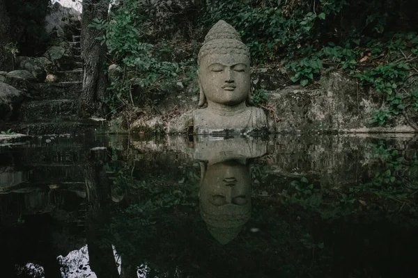 野生の森の中の滝の流れの背景にある仏像 自然の中の神秘的な場所 宗教コンセプト 自然公園 保護区 神秘的な森 アジア熱帯雨林ビデオショット — ストック写真