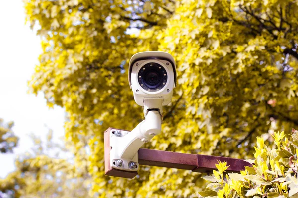 Caméra Surveillance Blanche Contre Feuillage Jaune Des Arbres Concept Sécurité — Photo