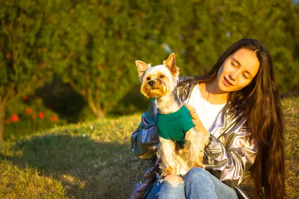 Happy pretty girl sitting on a lawn with a little dog Yorkshire Terrier at sunny spring, fall day. People with pets outdoors. A stylish young fair-skinned long-haired brunette woman relaxing the park.