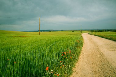 Uzağa giden kır yolu manzarası, çiçek açan kırmızı gelincikli yeşil çayırlar ve gökyüzünde düşük yağmur bulutları. Bahar mevsiminde fırtınalı bir hava. Çiçek açan güzel bir ülke. Seyahat kartpostalı.