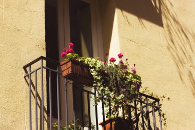 Sarı ev cephesi, saksılarda büyüyen çiçeklerle süslenmiş balkonlu bina. Avrupa sokak mimarisi. Gayrimenkul. Balkon bahçesi, açık havada çiçek açan yeşil bitkiler..