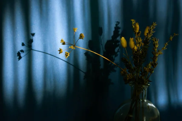 Beautiful Still Life Bouquet Dried Wildflowers Glass Vase Deep Blue — Stock Photo, Image