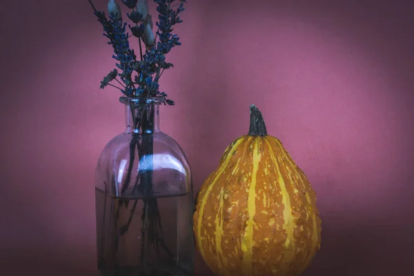 Stylish autumn still life with glass vase of wild dried flowers and orange pumpkin on purple background. Thanksgiving, Halloween day. Beautiful bouquet in fall season Autumnal wallpaper of farm market