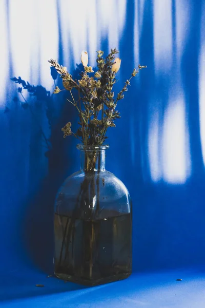 美丽的静谧生活 玻璃瓶里有一束干枯的野花 背景深蓝色 有垂直的阴影 乡村房屋的室内装饰 插花的安排墙上的花影 — 图库照片