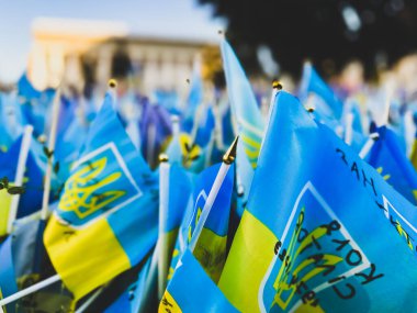 Kyiv, Ukrayna. 2 Ekim 2023 Meydan Meydanı 'nda birçok küçük sarı ve mavi Ukrayna bayrakları. Rusya-Ukrayna savaşının kurbanlarının anıları.. 