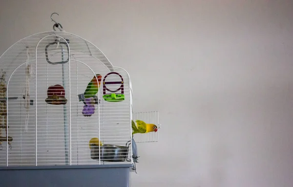 Bird cage 18x18x24 hot sale