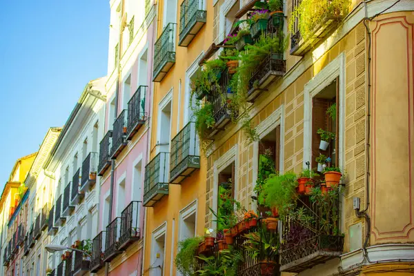 Balconies with blossoming flowers and potted green plants. Fresh flower decorating exterior of apartment building, house in summer. Balcony garden. Planting plant-pots on terrace Travel Spain postcard