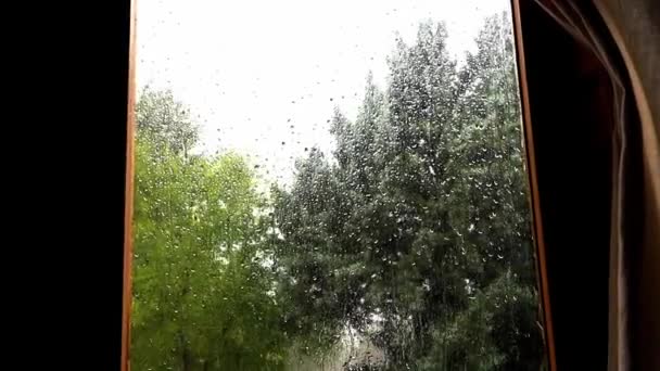在春夏雨季的雨天 带着雨滴从玻璃上滑落下来的雨窗外的绿树的天然背景 飓风中的落叶树 暴风雨阴郁的日子 — 图库视频影像