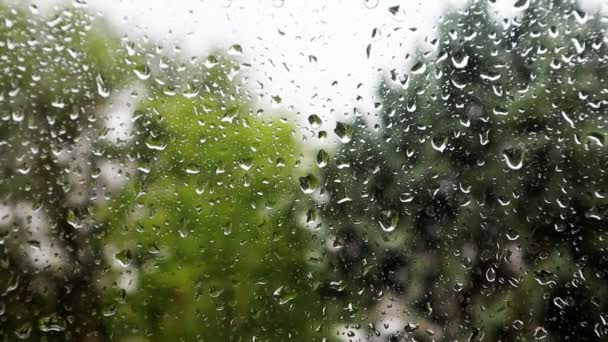 在春夏雨季的雨天 带着雨滴从玻璃上滑落下来的雨窗外的绿树的天然背景 飓风中的落叶树 暴风雨阴郁的日子 — 图库视频影像