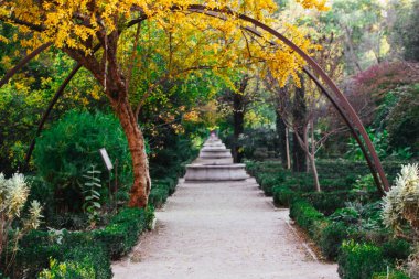 Doğal tünel. Düz bir yol, yol, yürüyüş yolu botanik bahçesinin derinliklerine kadar uzanıyor. Sonbahar güneşli bir günde, yeşil bir parkta yemyeşil bir bitki örtüsü. Sarı yapraklar ve yeşil çalılar. Yalnızlığın yolu