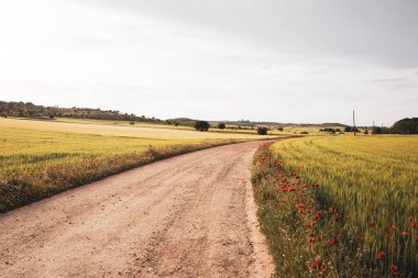 Uzağa giden kır yolu manzarası, çiçek açan kırmızı gelincikli yeşil çayırlar ve gökyüzünde düşük yağmur bulutları. Bahar mevsiminde fırtınalı bir hava. Çiçek açan güzel bir ülke. Seyahat kartpostalı.