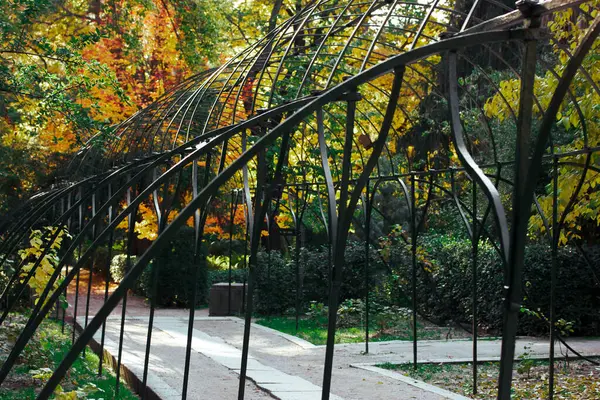 Bahçede siyah metal bir kemer. Bir tünel, patika, bir parkın derinliklerine giden yol. Sonbahar günü yeşil ve sarı sonbahar bitkileri. Sarı yapraklı ağaçlar. Bir perspektifte yalnız yol şafağı. 