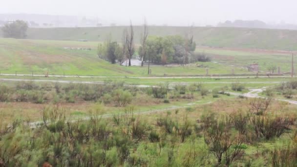 Chuva Vista Exterior Uma Paisagem Verde Natural Com Arbustos Verdes — Vídeo de Stock