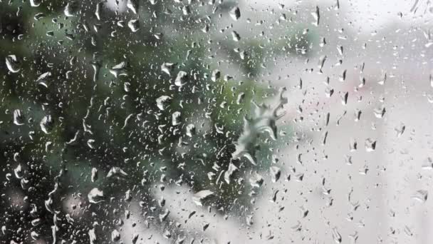 비오는 날이야 밖으로 있어요 빗방울은 유리의 표면을 천천히 뜨립니다 자연의 — 비디오