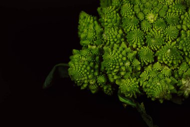 Koyu arka planda izole edilmiş yeşil taze Romanesco brokoli enfeksiyonları. Bahçe sebzeleri Sağlıklı vejetaryen yemekleri. Karnabahar başı ayrıntıları. 