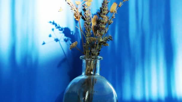 Strauß Getrockneter Wildblumen Glasvase Auf Blauem Hintergrund Sommer Wildblumen Pflanzen — Stockvideo