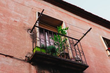 Eski kırmızı apartman cephesi açık bir balkon ve saksılarda yeşil bitkiler. Avrupa mimarisi. Terasta saksı ağacı. Ev bahçesi.