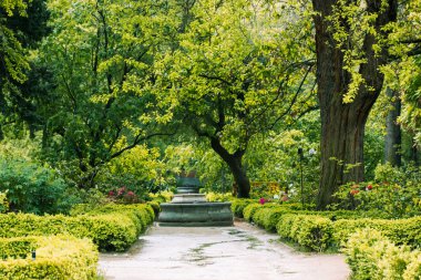 Düz yol, bir bahar bahçesine kadar uzanıyor. Yeşil ağaçlar ve budanmış çalılar. Peyzaj tasarımı Botanik Bahçeleri Doğa ve Çeşmeler