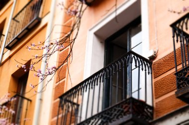 Balkon penceresi ve çiçek açan çiçekler. Eski apartman dairesi, turuncu bina cephesi, bahar zamanı çiçek açan pembe ağaç. Kasabada bahar mevsimi