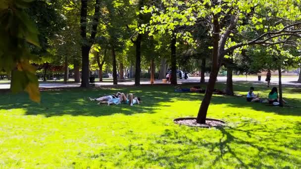 Madrid Spanien Maj 2023 Människor Kopplar Ett Träd Naturen Solig — Stockvideo