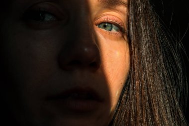 Güzel bir genç kadının portresi, yüzünün yarısı gölgeye gizlenmiş, mavi göze vurgu yapıyor. Karanlıktan etkileyici bir bakış. Gizemli kız.. 