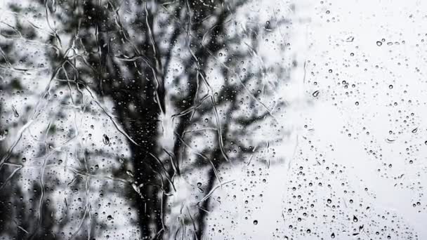 雨滴在雨中缓缓地从潮湿的窗户表面滴下 外面多雨多风的秋天天气 赤裸裸的秋天树的轮廓 — 图库视频影像