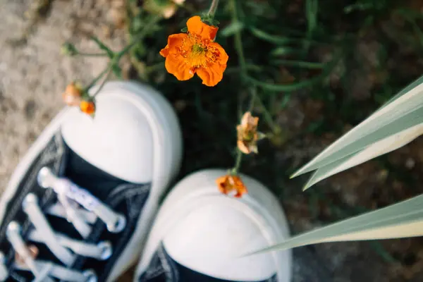 Black white sneakers on women\'s feet and orange spring flowers top view. Teenage girl walking in nature in a park, garden. Human and nature in summer. Young people, youth lifestyle in summertime. A pair of shoes flatly.