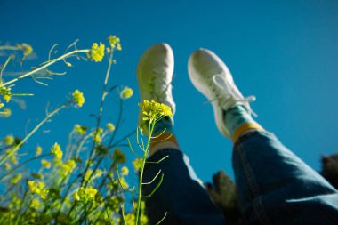 Woman's feet in white sneakers raised up against the blue sky. A girl resting on a spring meadow among blooming Yellow mustard flowers in spring day.  clipart