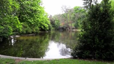 Sonbahar parkında gölet suyu yüzeyindeki yeşil ağaçların yansıması. Sinema filtresi olan soyut doğal manzara. Su hareketi. Çevre Günü