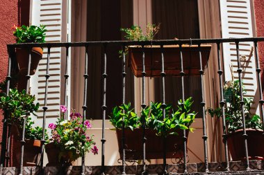 Ahşap panjurlu, yeşil bitkilerle kaplı pencereli bir balkon. Yaz günü terasta taze çiçekler yetiştirmek. Ev dekorasyonu için saksı. 