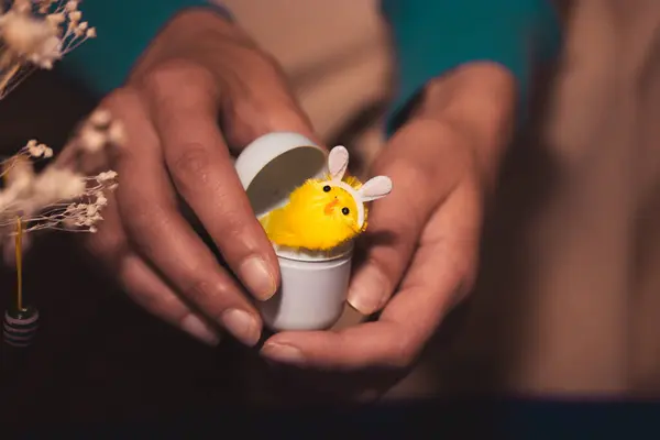Женщина Держит Руках Игрушечное Куриное Яйцо Желтой Смешной Цыпочкой Кроличьими — стоковое фото