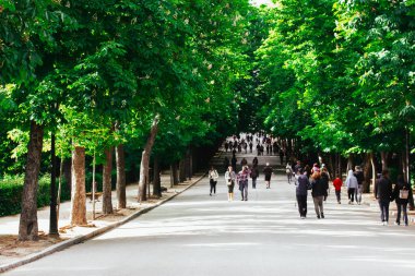 Madrid, İspanya. 2 Mayıs 2024 Bir bahar botanik bahçesinde yürüyen bir kalabalık açık havada zaman geçiriyor. Düz yol bir mesafeye gider..
