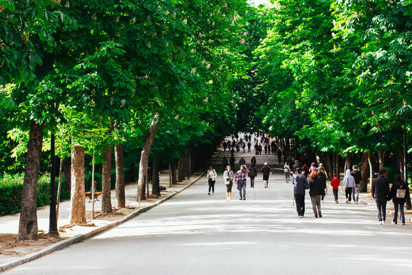Madrid, Spain. 2 May 2024 A crowd of people walking in a spring botanical garden, spending time outdoors. Straight road goes off into a distance.