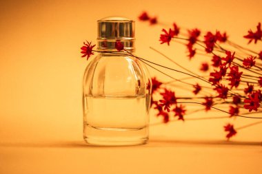Sarı arka planda tek şeffaf cam parfüm şişesi. Bir buket güzel kırmızı çiçek. Çiçek özü suyu. Metin için boşluk kapat. 