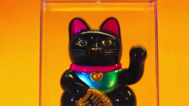 Maneki Neko Japon şanslı kedisi sarı turuncu arka planda patisini sallıyor. Çin iyi şans sembolü. Kitty 'e hoş geldin hediyesi. Başarı oyuncağı.