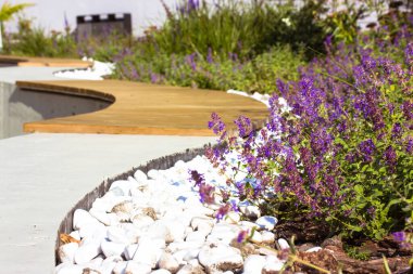 Resmi bahçede çiçek tarhı, ahşap banklar ve bahar veya yaz günlerinde mor çiçekler olan halka açık bir park. Rahatlamak için doğal bir yer. Şehir manzarası