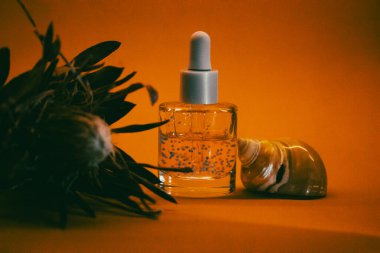 Şeffaf cam kozmetik şişesi, sarı zemin üzerinde serum, kuru çiçek ve deniz kabuğu. Günlük kadın güzellik rutini. Yaz tedavisi