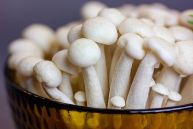 Fresh raw white shimiji shimeji mushrooms in yellow brown bowl. Hypsizygus tessulatus is a mushroom native to East Asia. Vegetarian vegan healthy food. Beech mushroom backdrop. Cooking on kitchen.