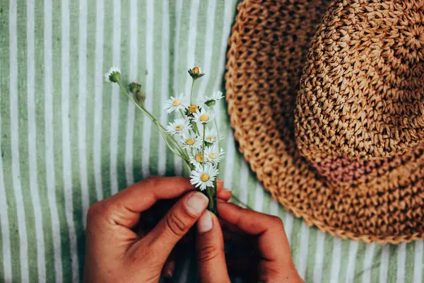 stock image A bouquet of white summertime daisies in female hands view from above. A woman lying on striped plaid with a bunch of wildflowers. Straw female sunhat